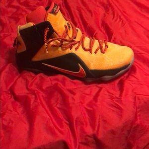 Lebron James gym shoes